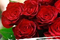 red-roses-happy-birthday-mother